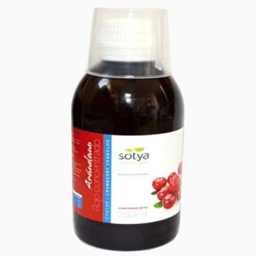 Sotya Arandano Rojo Concentrado 250ml