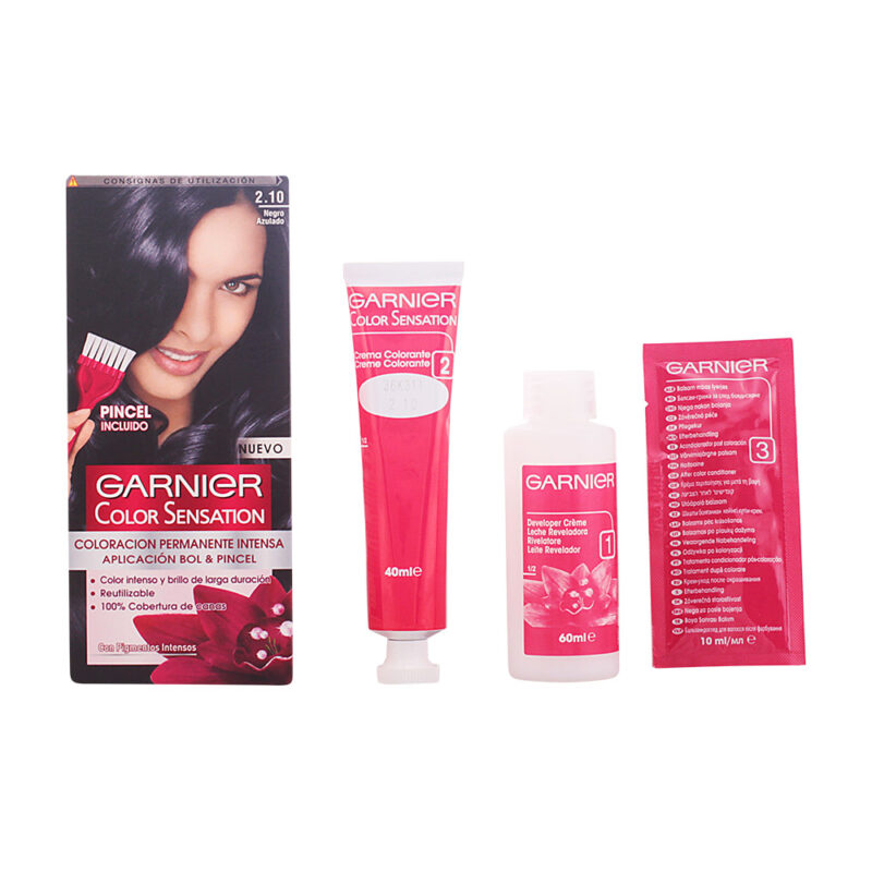 Garnier Color Sensation 2,10 Nero bluastro